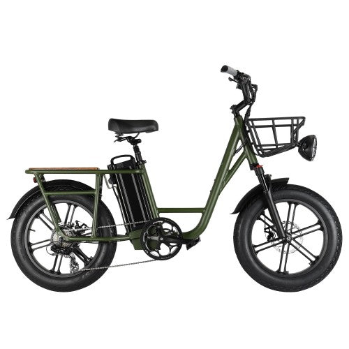 Fiido T1 Utility Electric Bike, 750W Cargo Bike with 7 Speeds, 200kg Capacity, 20-inch All Terrain Tires