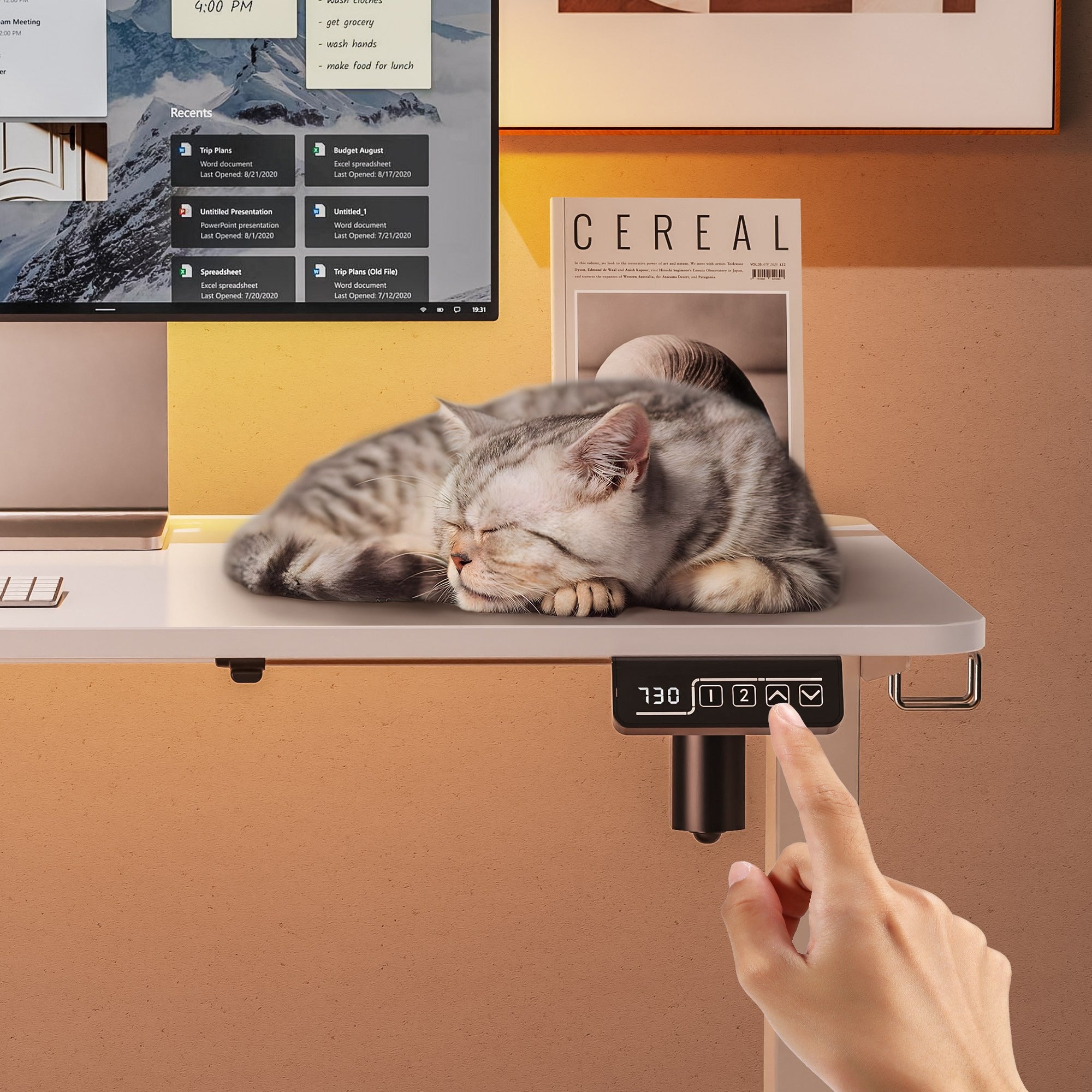 Electric Standing Desk 63